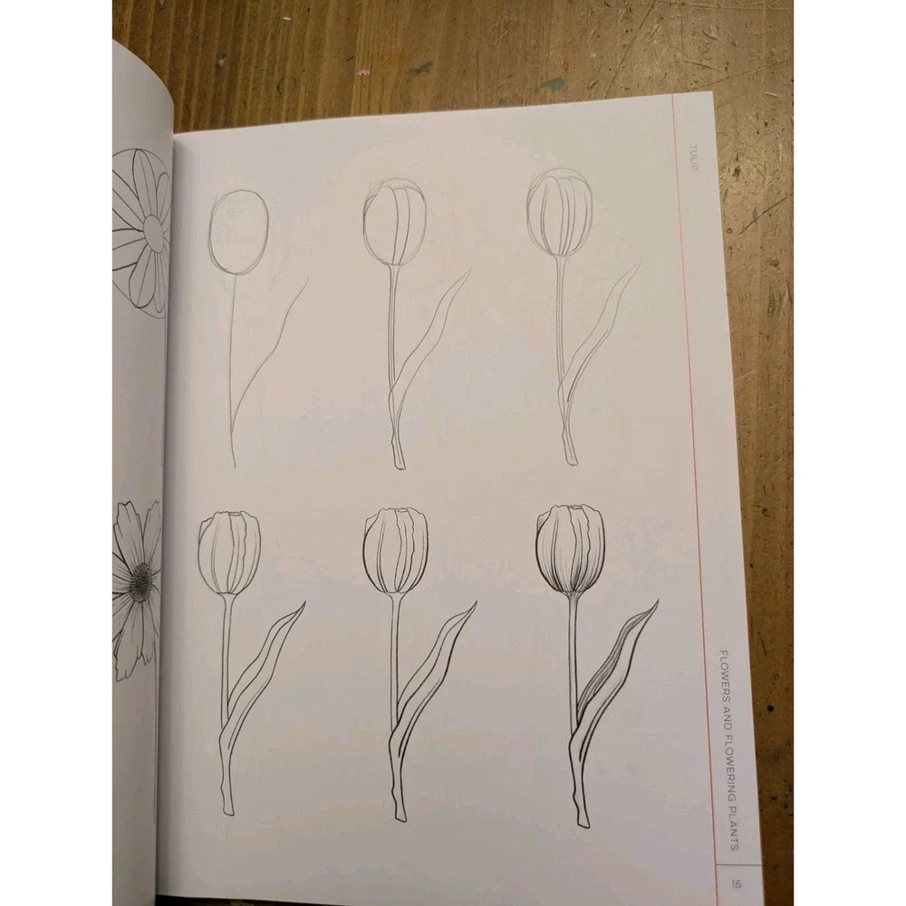 Quarry Draw Like an Artist: 100 Flowers & Plants Step-by-Step Line Drawing